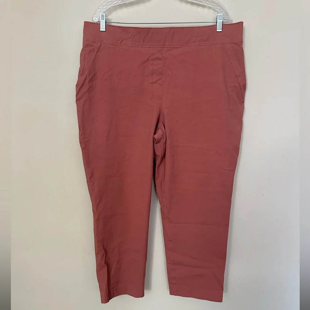 SPANX On-the-Go Ankle Slim Straight Pant! - Picture 3 of 9